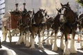 Budweiser Beer Wagon