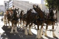 Budweiser Beer Wagon