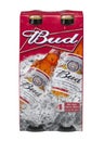 BUDWEISER BUD BEER FOUR BOTTLE PACK