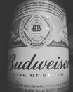 Budweiser