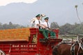 Budweiser Clydesdale Beer Wagon