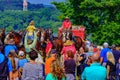 Budweiser Clydesdale Horses Royalty Free Stock Photo