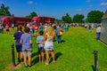 Budweiser Clydesdale Horses Royalty Free Stock Photo