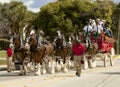 Budweiser Clydesdale Wagon