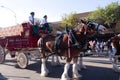Budweiser Clydesdales and wagon Royalty Free Stock Photo