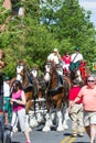 Budweiser Clydesdales in Coeur d' Alene, Idaho Royalty Free Stock Photo