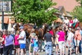 Budweiser Clydesdales in Coeur d' Alene, Idaho Royalty Free Stock Photo