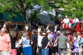 Budweiser Clydesdales in Coeur d' Alene, Idaho Royalty Free Stock Photo