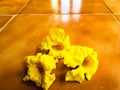 Bueatiful Yellow Flower lie on ceramic tiles