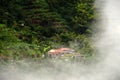 Foggy landscape in Buenavista, Quindio Royalty Free Stock Photo