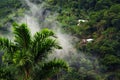 Foggy landscape in Buenavista, Quindio Royalty Free Stock Photo