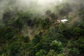 Foggy landscape in Buenavista, Quindio Royalty Free Stock Photo