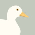 buff duck vector illustration flat style profile Royalty Free Stock Photo