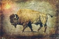 Buffalo Art - Bison Bull Royalty Free Stock Photo