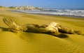 Buffalo Bay - Wild Side beach