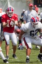 Buffalo Bills Training Camp 2009 Royalty Free Stock Photo