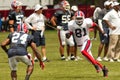 Buffalo Bills Training Camp 2009 Royalty Free Stock Photo