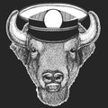 Buffalo, bison, bull head. Sailor capitan hat. Portait of animal.