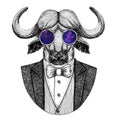 Buffalo, bison,ox, bull Hipster animal Hand drawn image for tattoo, emblem, badge, logo, patch, t-shirt Royalty Free Stock Photo