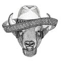 Buffalo, bison,ox, bull Wild animal wearing sombrero Mexico Fiesta Mexican party illustration Wild west