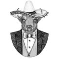 Buffalo, bison,ox, bull Wild animal wearing Sombrero - traditional mexican hat Hand drawn illustration for tattoo