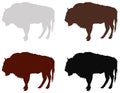 Buffalo or bison silhouette