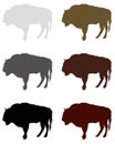 Buffalo or bison silhouette Royalty Free Stock Photo