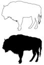 Buffalo or bison silhouette Royalty Free Stock Photo