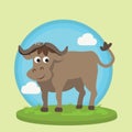 Buffalo bison smile character fun cartoon vector illustration animal wild in grass friendly