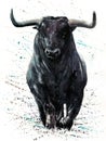 Buffalo black with background Bull watercolor painting with background, animals wildlife,