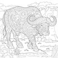 Zentangle buffalo bull bison