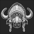 Buffalo, bull, ox Cool animal wearing native american indian headdress with feathers Boho chic style Hand drawn image