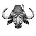 Buffalo, bull, ox Wild animal wearing tirol hat Oktoberfest autumn festival Beer fest illustration Bavarian beer