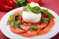 Buffalo burrata cheese served with fresh raw tomatoes