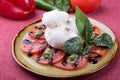 Buffalo burrata cheese served with fresh raw tomatoes