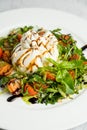 Buffalo burrata cheese with vegetables and herbs on a plate Royalty Free Stock Photo