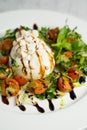 Buffalo burrata cheese with vegetables and herbs on a plate