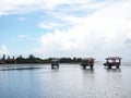 Buffalo carrying cart crossing the river under the beautiful blue sky in Yaeyama Island Okinawa Japan