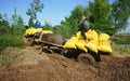 Buffalo cart transport paddy in rice sack Royalty Free Stock Photo