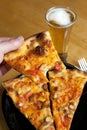 Buffalo Chicken Pizza Royalty Free Stock Photo