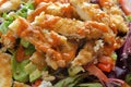 Buffalo Chicken Salad Royalty Free Stock Photo