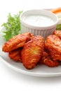 Buffalo chicken wings with blue cheese dip Royalty Free Stock Photo