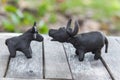 buffalo clay sculpture on wooden background in outdoor