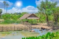 Buffalo cottage with water mud pond asian rural countryside view outdoor Royalty Free Stock Photo