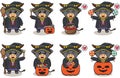 Cute Character Cartoon of Buffalo with Witch costume. Royalty Free Stock Photo