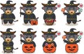 Buffalo cute Halloween set Wizard Royalty Free Stock Photo