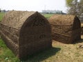 Buffalo dung placed in a structure after drying for use in winter fire in Haryana India