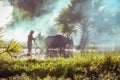 Buffalo with farmer man in paddy. Asian farmer using buffalo plowing rice field Royalty Free Stock Photo