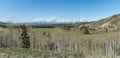 Buffalo Fork ridge overlooks the river and the Teton mountain range in the distance