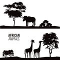 African animals silhouettes